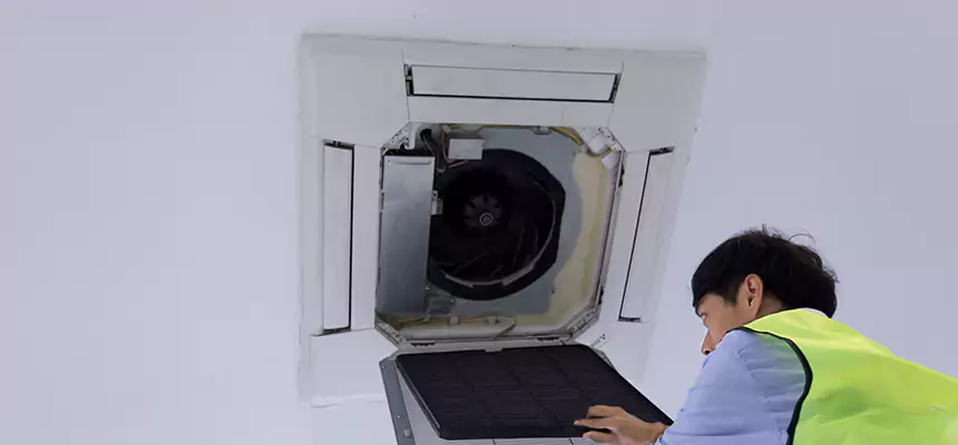 Our Dryer Vent Sanitization Service Services in Greenfield, MA