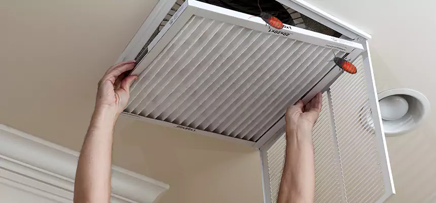 Our Insect Removal from Air Ducts Services in Greenfield, MA