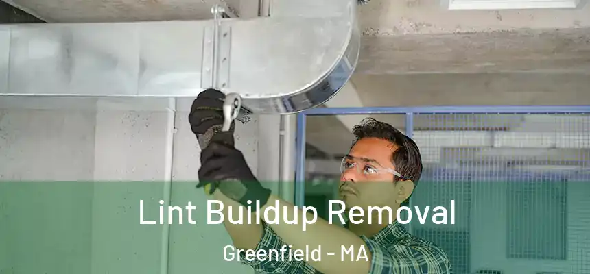  Lint Buildup Removal Greenfield - MA