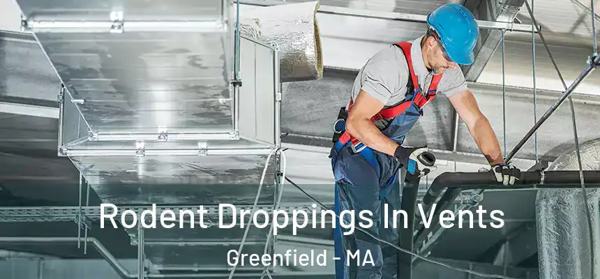  Rodent Droppings In Vents Greenfield - MA