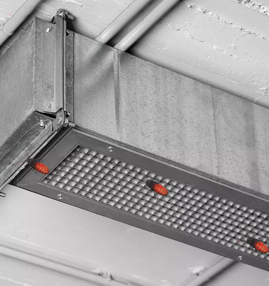 About Air Duct Cockroach Removal in Greenfield, MA