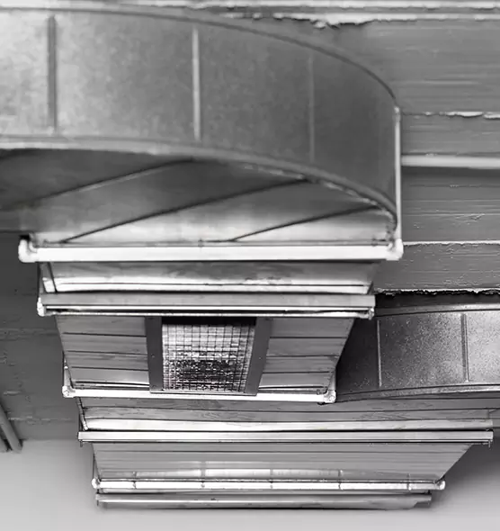 Professional Air Duct Pest Removal in Greenfield, MA