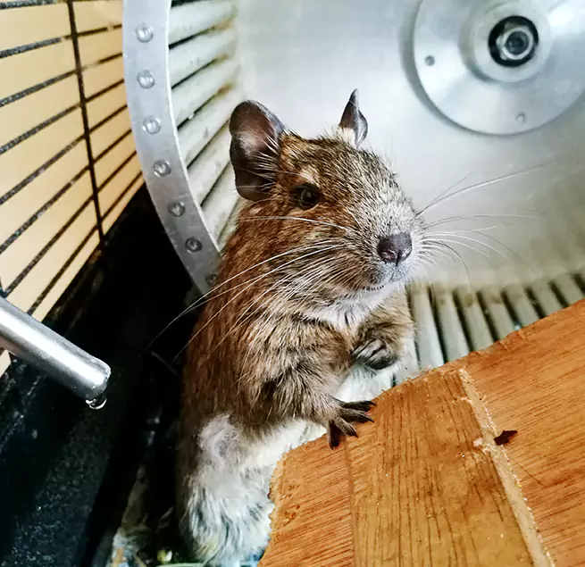 Why Homeowners & Businesses Trust Us Greenfield, MA?